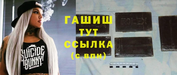 индика Лихославль