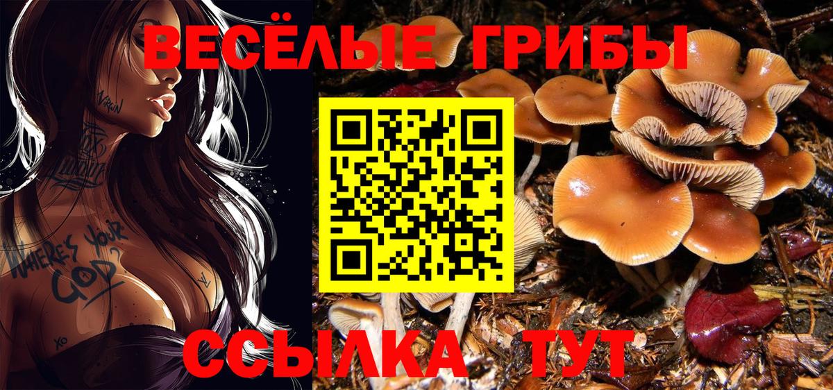 Псилоцибиновые грибы Psilocybe  Вход с VPN  Ухта  Псилоцибиновые грибы ЛСД 