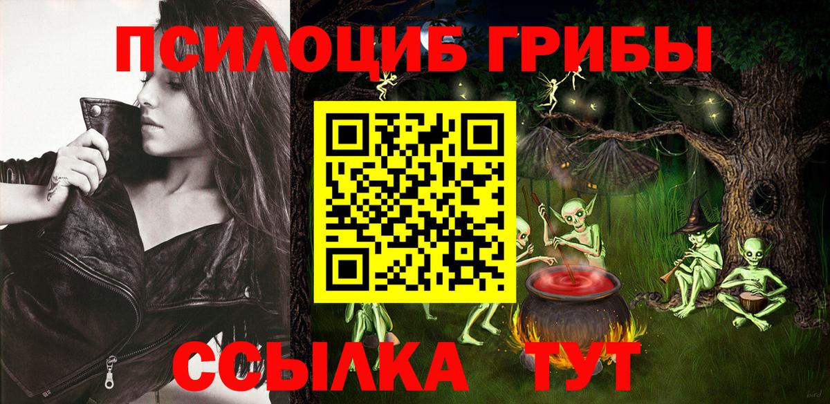 Псилоцибиновые грибы Psilocybine cubensis Ухта